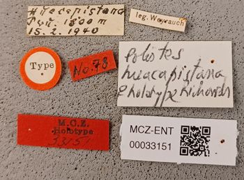 Media type: image;   Entomology 33151 Aspect: labels